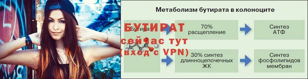 молекула духа Новозыбков