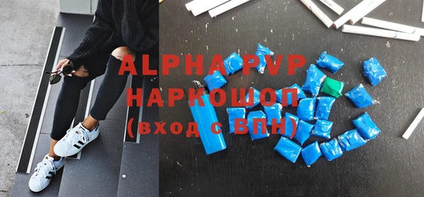 молекула духа Новозыбков