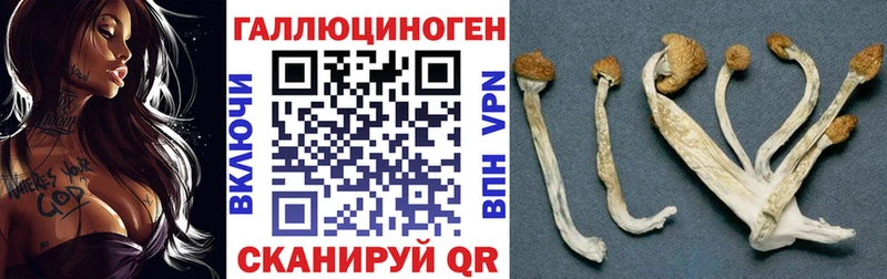 Псилоцибиновые грибы прущие грибы  Костомукша 
