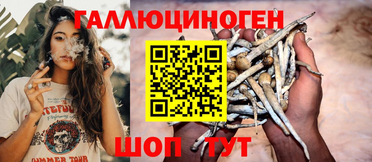 Костомукша  Галлюциногенные грибы мухоморы  Вход с VPN 