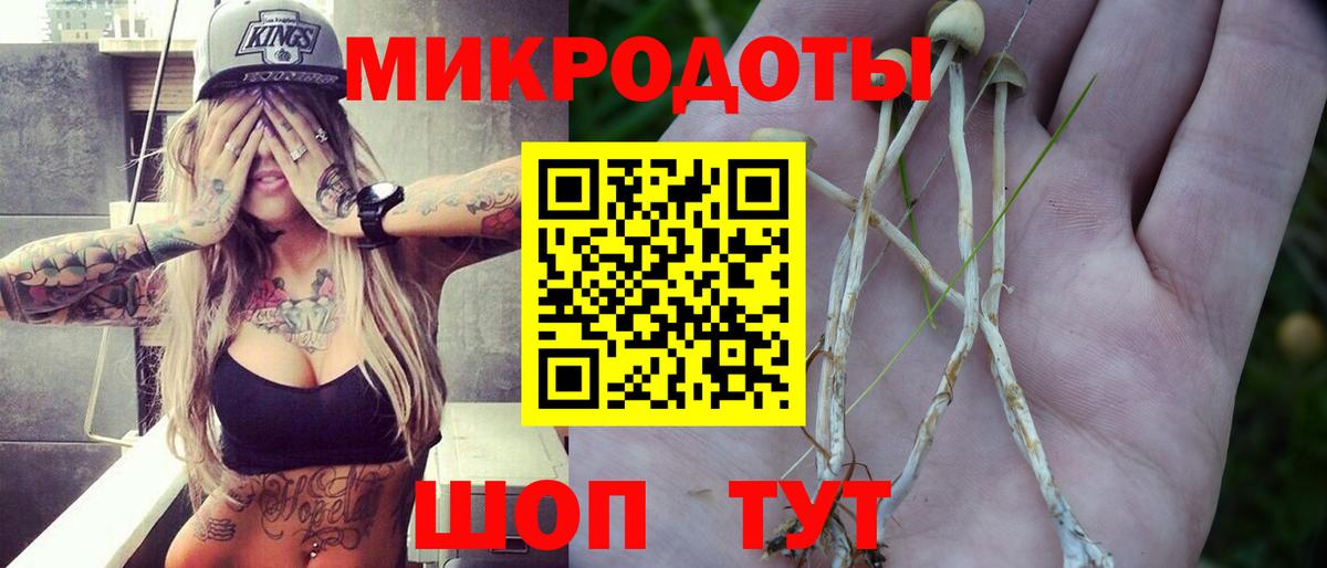 Галлюциногенные грибы MAGIC MUSHROOMS Костомукша